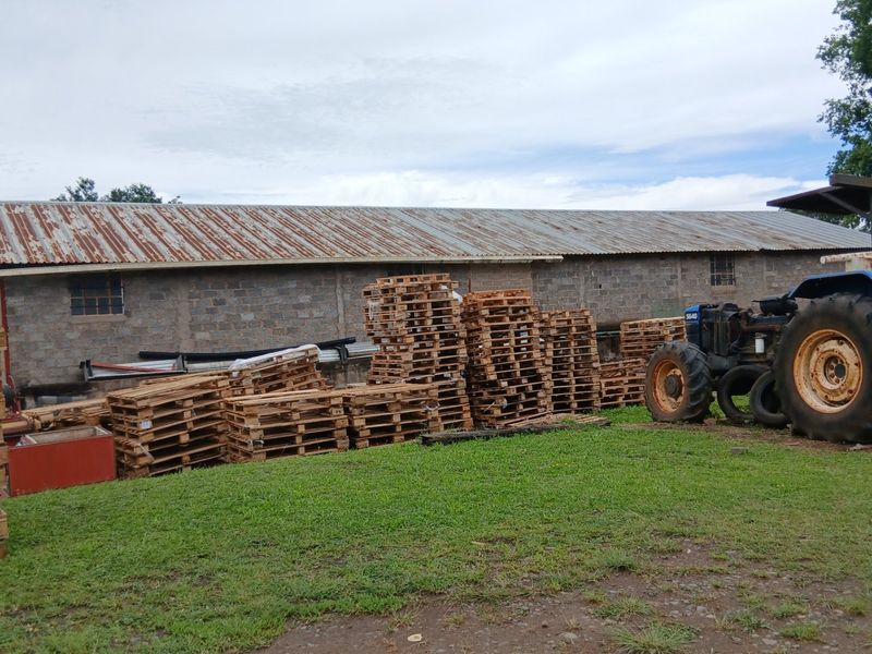 Rear view of a farm outbuilding featuring cinder block construction and a weathered corrugated metal roof, situated on a grassy yard.