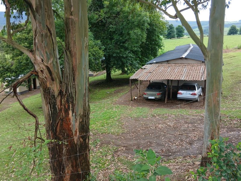 A view of a farm outbuilding with a corrugated iron carport structure set within a rural landscape.