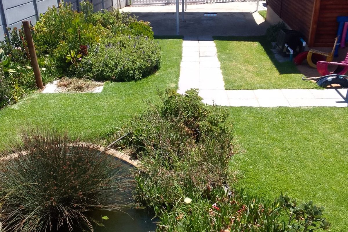 3 Homes !!!!!! Income Generator!!!!!Active BnB!!!!!!  - Photo 3