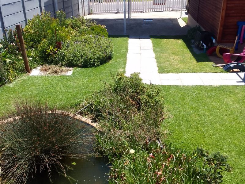 3 Homes !!!!!! Income Generator!!!!!Active BnB!!!!!!  - Photo 3