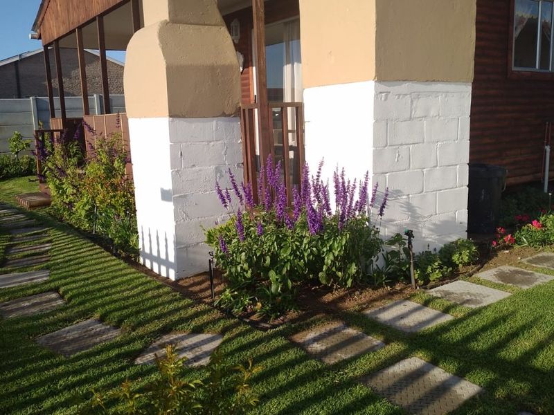 3 Homes !!!!!! Income Generator!!!!!Active BnB!!!!!!  - Photo 8