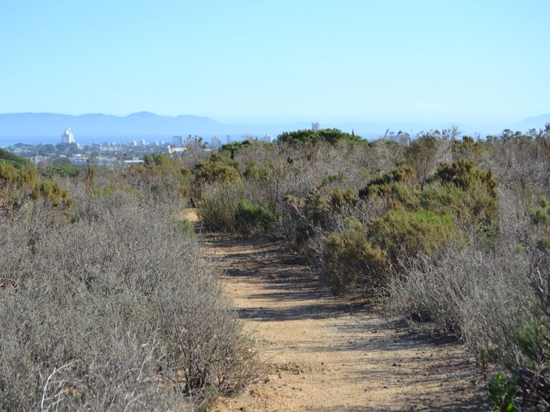 A Home That Feels Like a Breath of Fresh Air - Photo 10