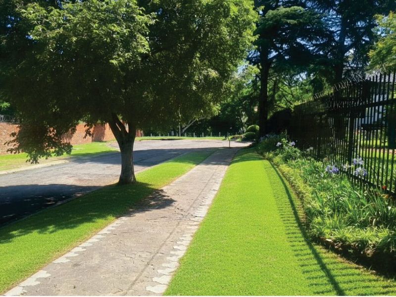 Cozy 1-Bedroom Townhouse - Photo 10