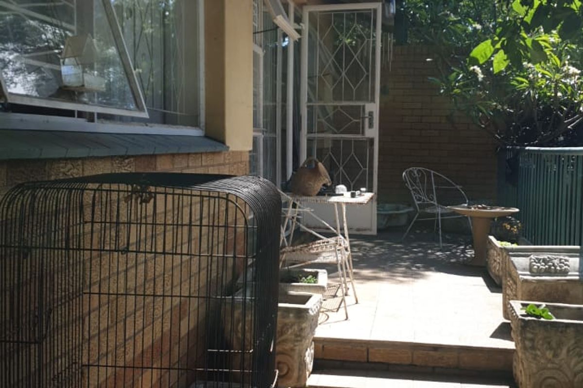 Stunning 3-Bedroom Home for Sale in Kensington - Photo 4