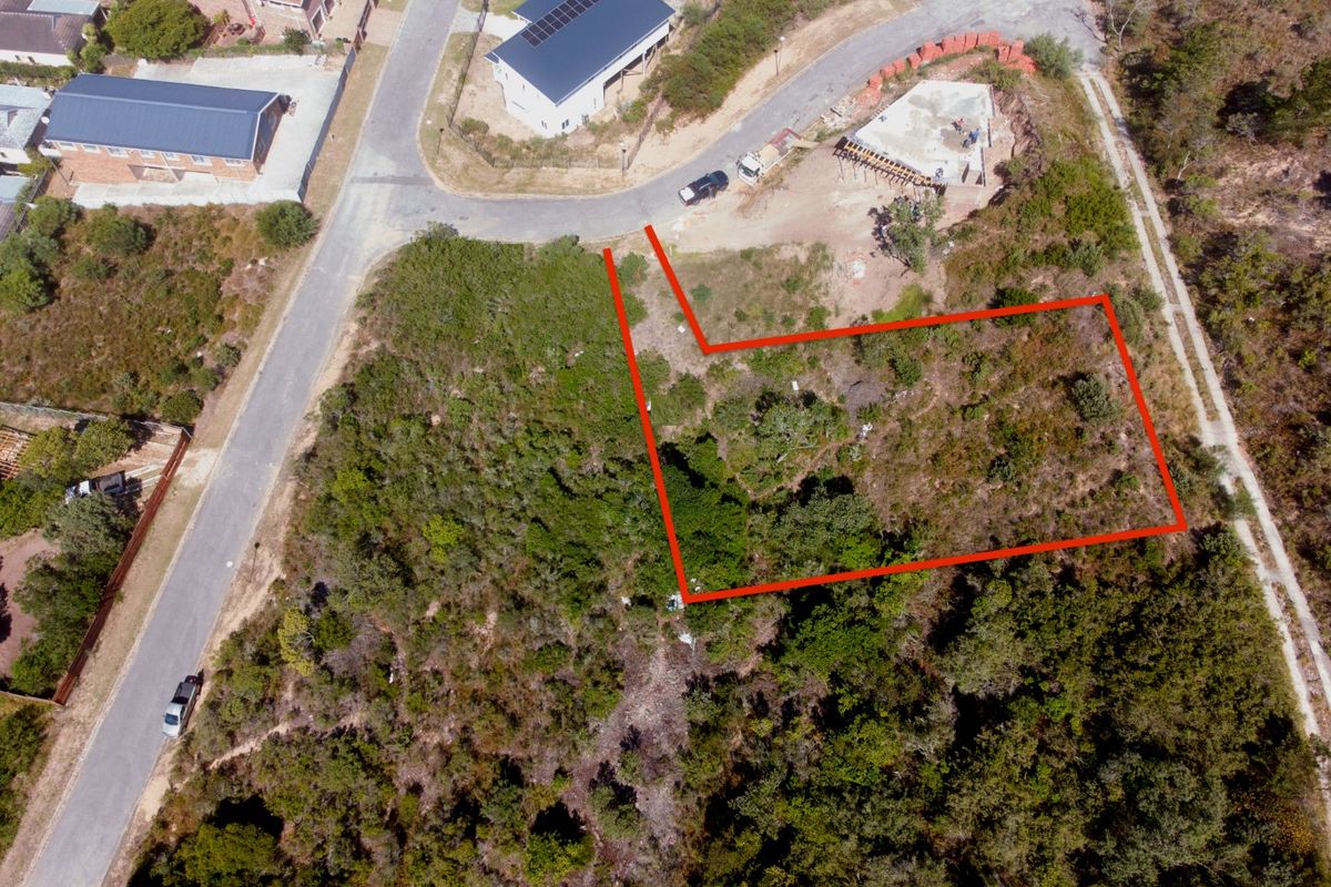An aerial view of a vacant residential plot featuring natural vegetation and clear boundary markings.