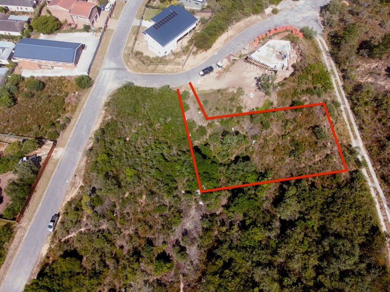 An aerial view of a vacant residential plot featuring natural vegetation and clear boundary markings.