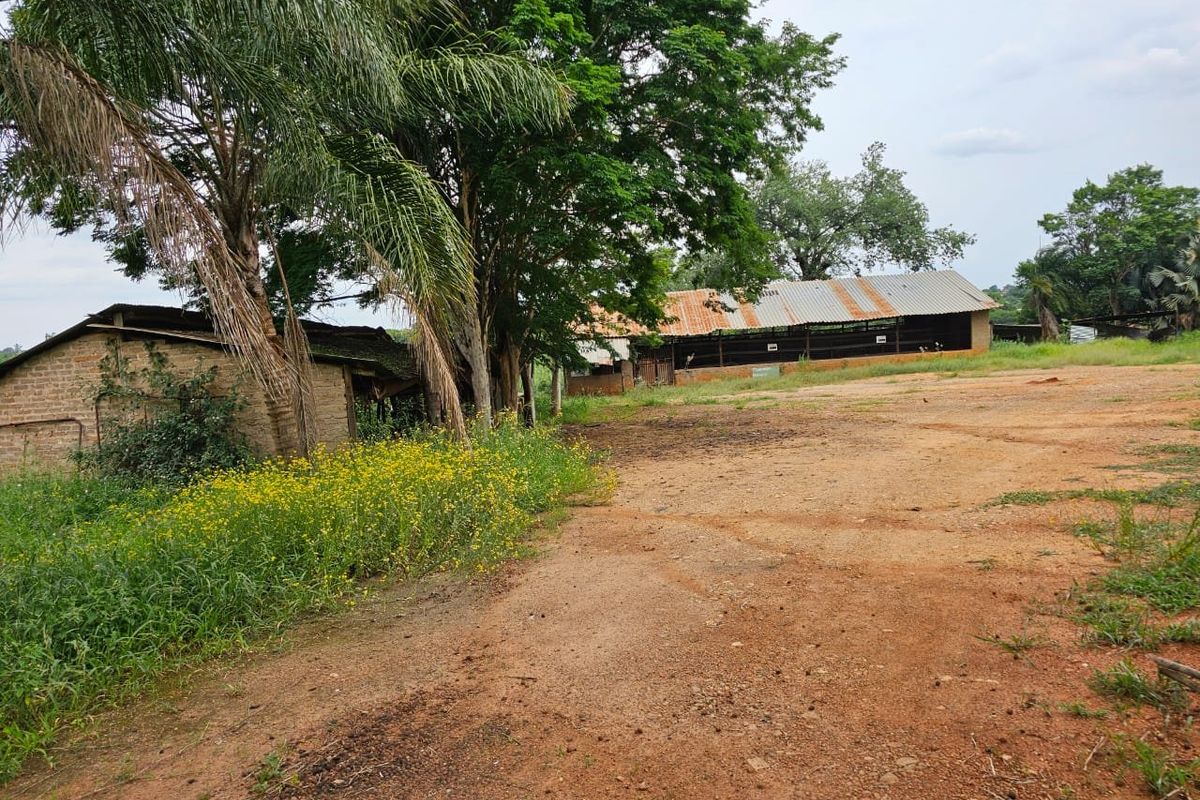 FOR SALE: PRIME 9,338 m2 COMMERCIAL STAND – R524 Punda Maria ROAD, THOHOYANDOU R9.5m - Photo 5