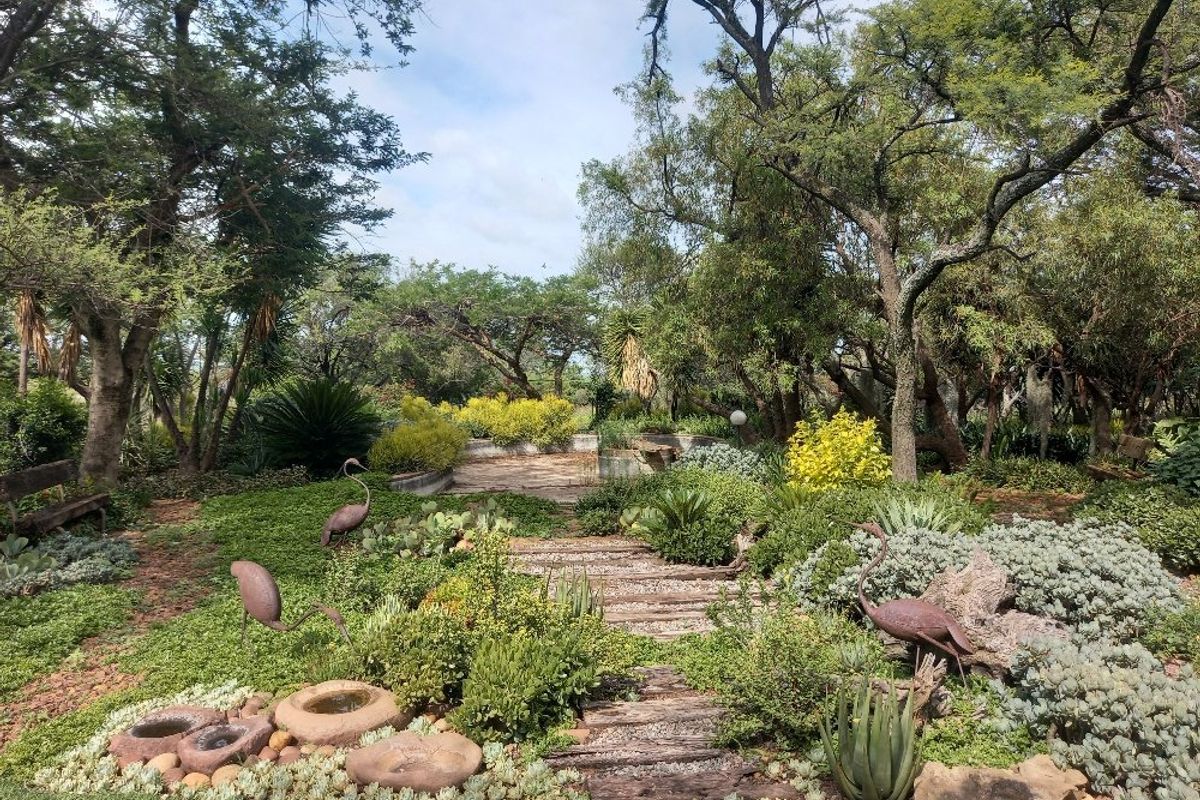 63 hectares of Prime land on offer in Dinokeng game reserve  - Photo 5