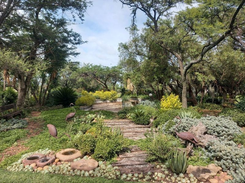 63 hectares of Prime land on offer in Dinokeng game reserve  - Photo 5