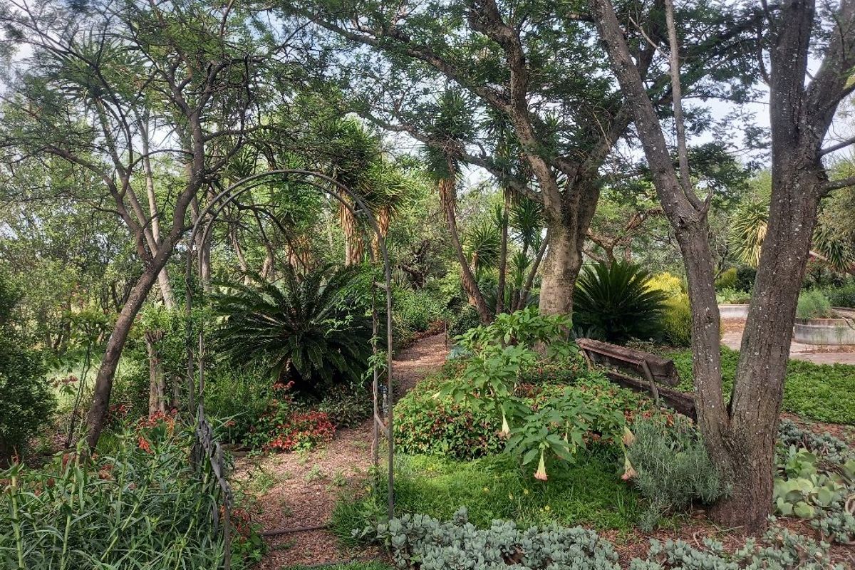63 hectares of Prime land on offer in Dinokeng game reserve  - Photo 2