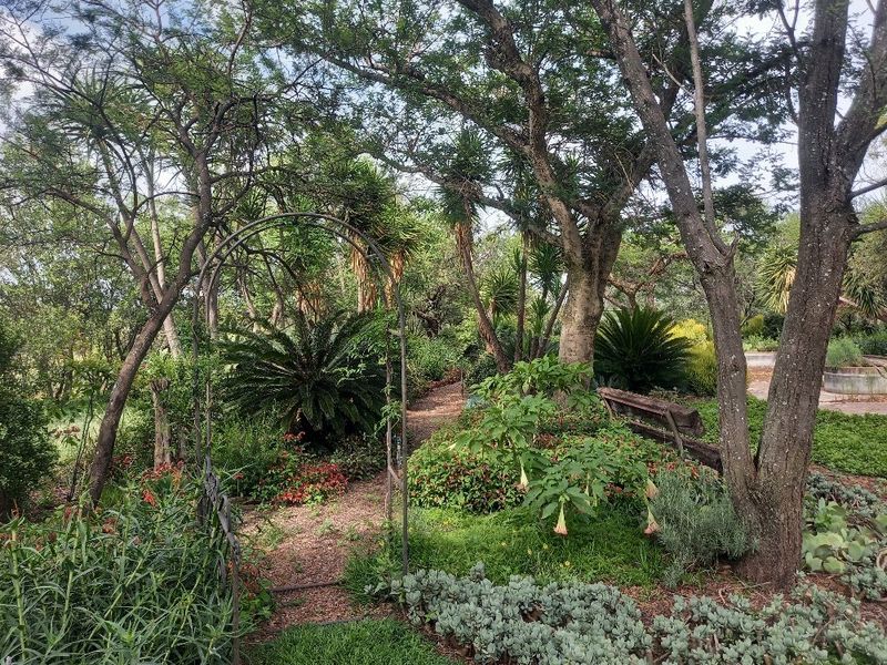 63 hectares of Prime land on offer in Dinokeng game reserve  - Photo 2