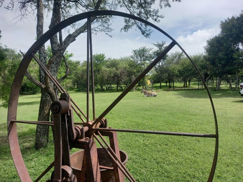 63 hectares of Prime land on offer in Dinokeng game reserve  - Photo 1