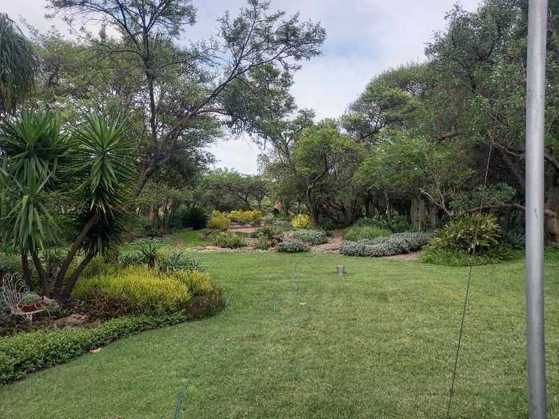 63 hectares of Prime land on offer in Dinokeng game reserve  - Photo 3