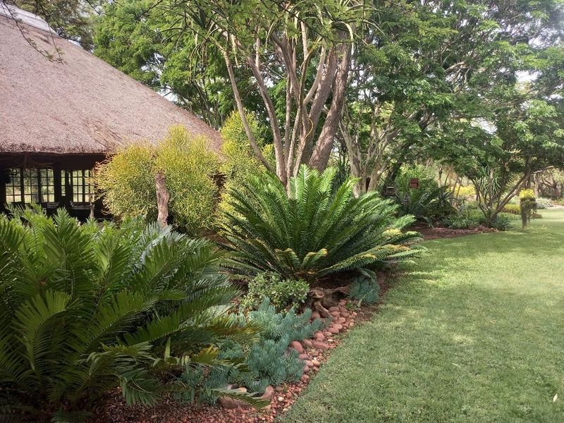 63 hectares of Prime land on offer in Dinokeng game reserve  - Photo 9