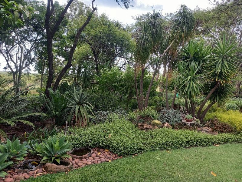 63 hectares of Prime land on offer in Dinokeng game reserve  - Photo 8