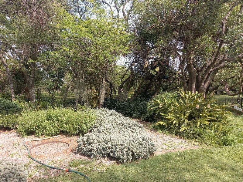 63 hectares of Prime land on offer in Dinokeng game reserve  - Photo 6