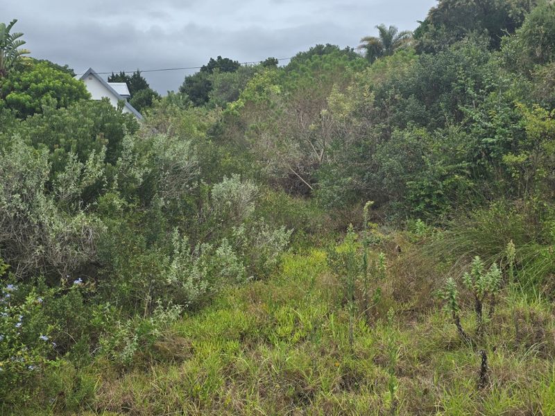 Well Located Vacant Plot in Sedgefield - Photo 4