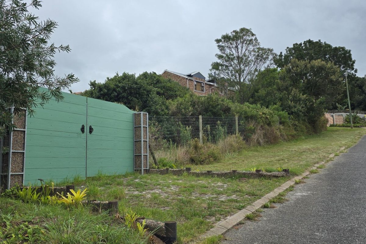 Well Located Vacant Plot in Sedgefield - Photo 5