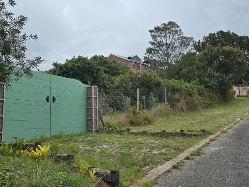 Well Located Vacant Plot in Sedgefield - Photo 5