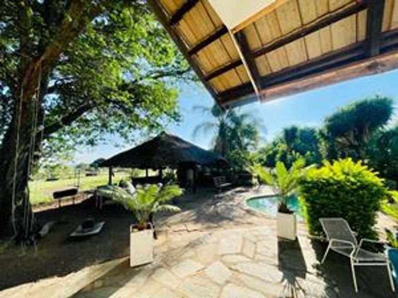 A covered outdoor patio area featuring stone paving, timber rafters, and direct access to a swimming pool in a lush garden setting.