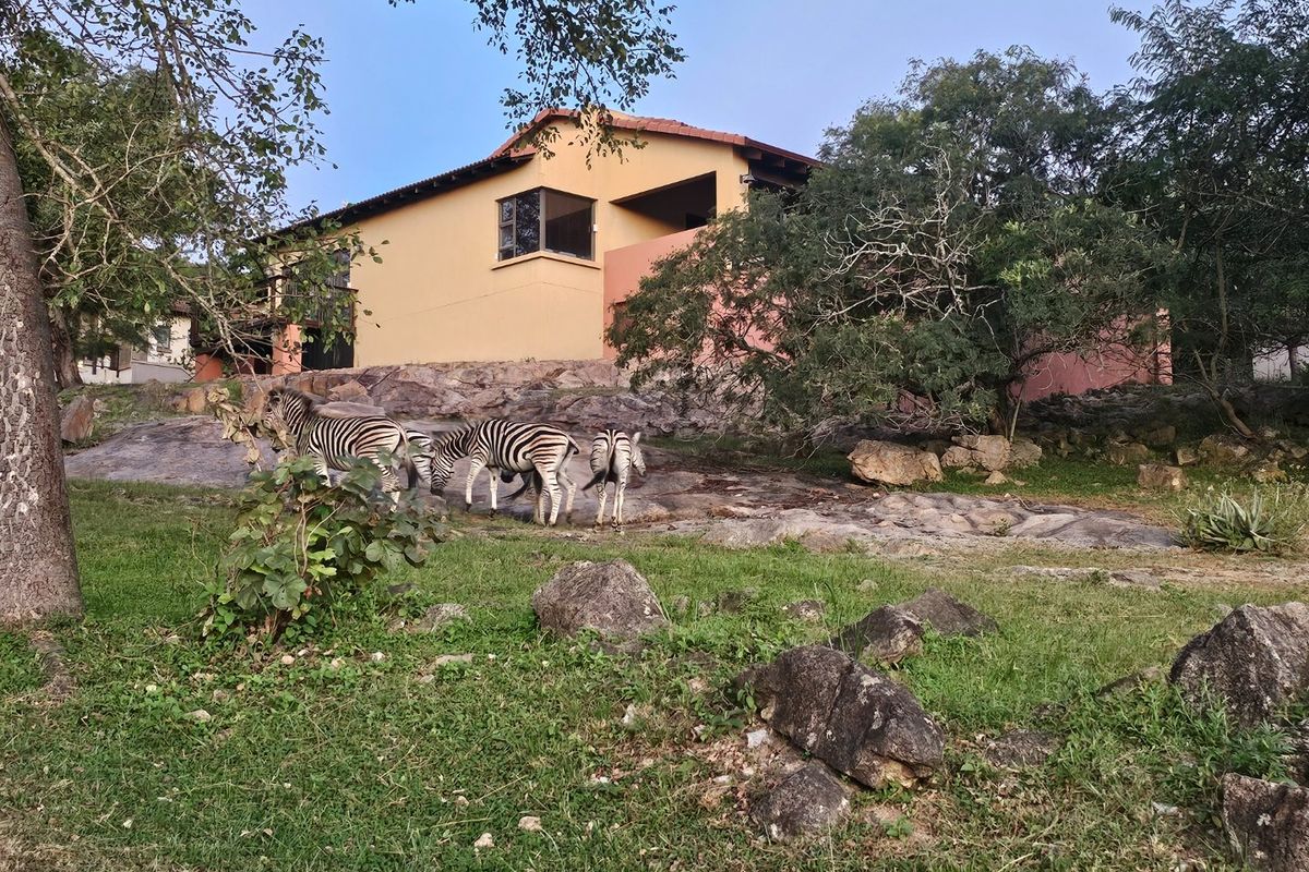 Wow, Spectacular Views, Wild Life Estate, Entertainment Home - Photo 2