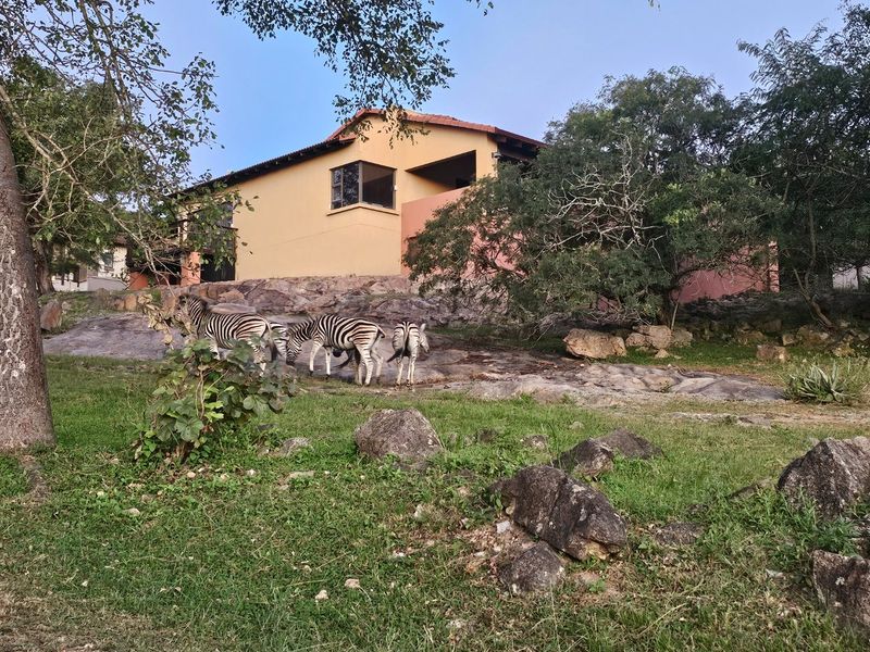 Wow, Spectacular Views, Wild Life Estate, Entertainment Home - Photo 2