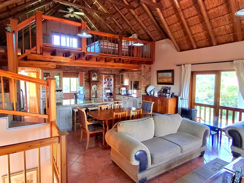 Spacious open-plan living area featuring a high thatched ceiling with exposed timber trusses, a mezzanine level, and direct access to an outdoor patio.