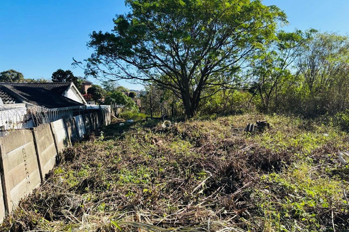 Reduced to Sell | Investment Security: Build-Ready, Residentially Zoned Land in a High-Demand Rental Hub of Greenwood Park - Photo 2