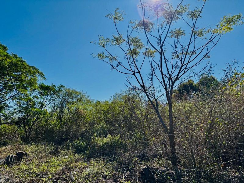 Reduced to Sell | Investment Security: Build-Ready, Residentially Zoned Land in a High-Demand Rental Hub of Greenwood Park - Photo 9