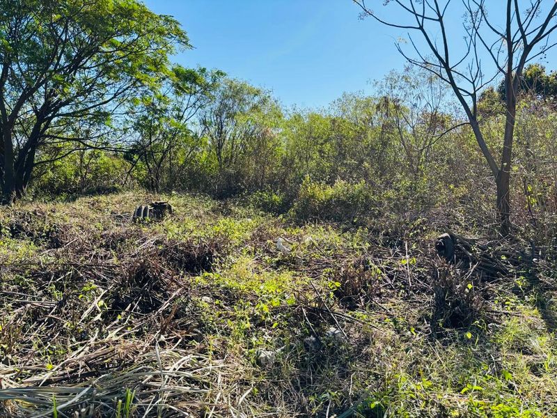 Reduced to Sell | Investment Security: Build-Ready, Residentially Zoned Land in a High-Demand Rental Hub of Greenwood Park - Photo 8