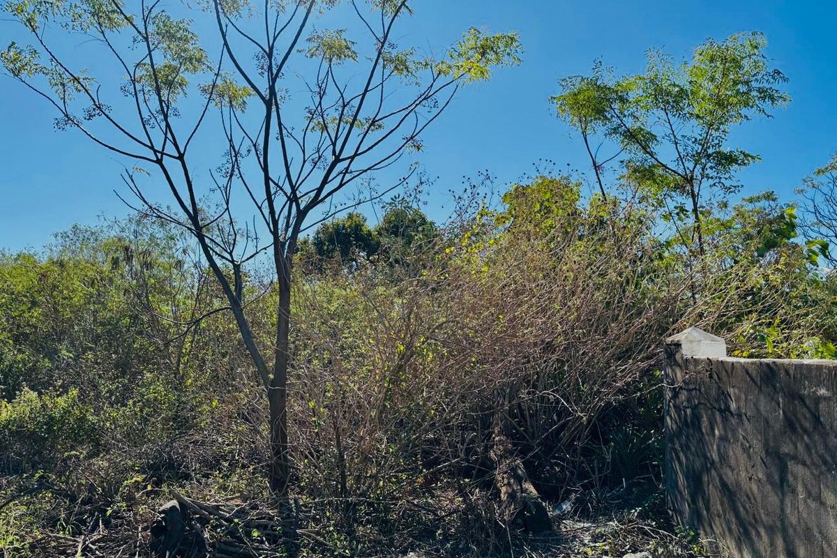 Reduced to Sell | Investment Security: Build-Ready, Residentially Zoned Land in a High-Demand Rental Hub of Greenwood Park - Photo 3