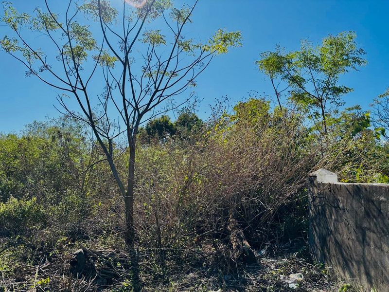 Reduced to Sell | Investment Security: Build-Ready, Residentially Zoned Land in a High-Demand Rental Hub of Greenwood Park - Photo 3