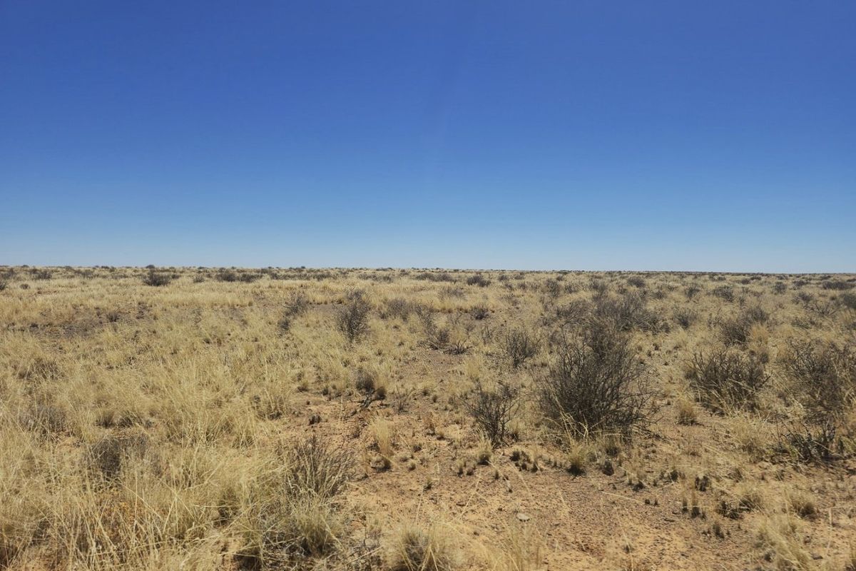 Livestock farm for sale near Brandvlei, Northern Cape.  - Photo 3