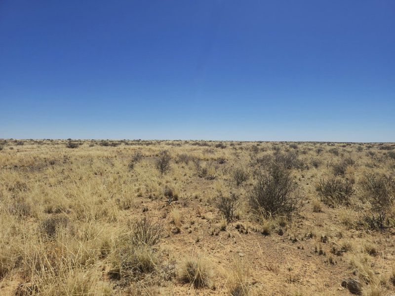Livestock farm for sale near Brandvlei, Northern Cape.  - Photo 3