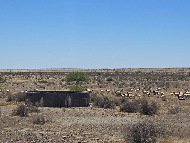 Livestock farm for sale near Brandvlei, Northern Cape.  - Photo 9