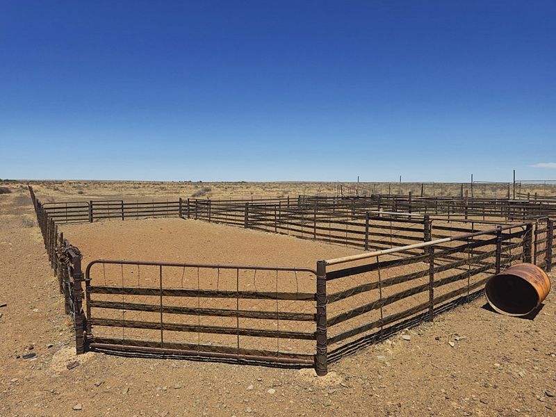 Livestock farm for sale near Brandvlei, Northern Cape.  - Photo 6