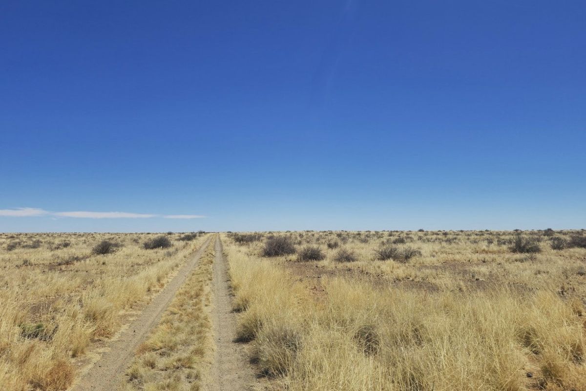 Livestock farm for sale near Brandvlei, Northern Cape.  - Photo 4