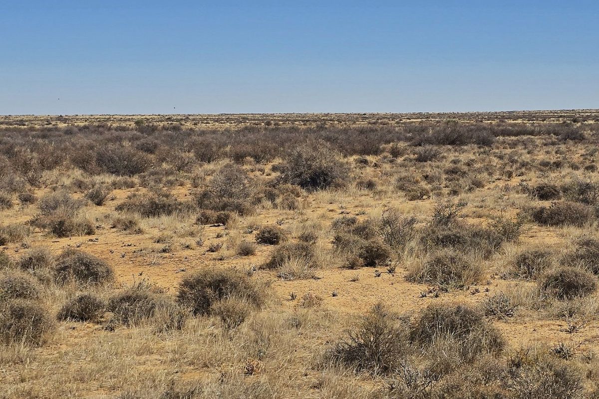 Farm for sale near Brandvlei, Northern Cape. - Photo 5