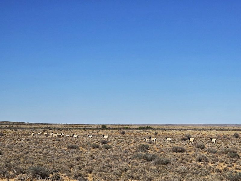 Farm for sale near Brandvlei, Northern Cape. - Photo 9