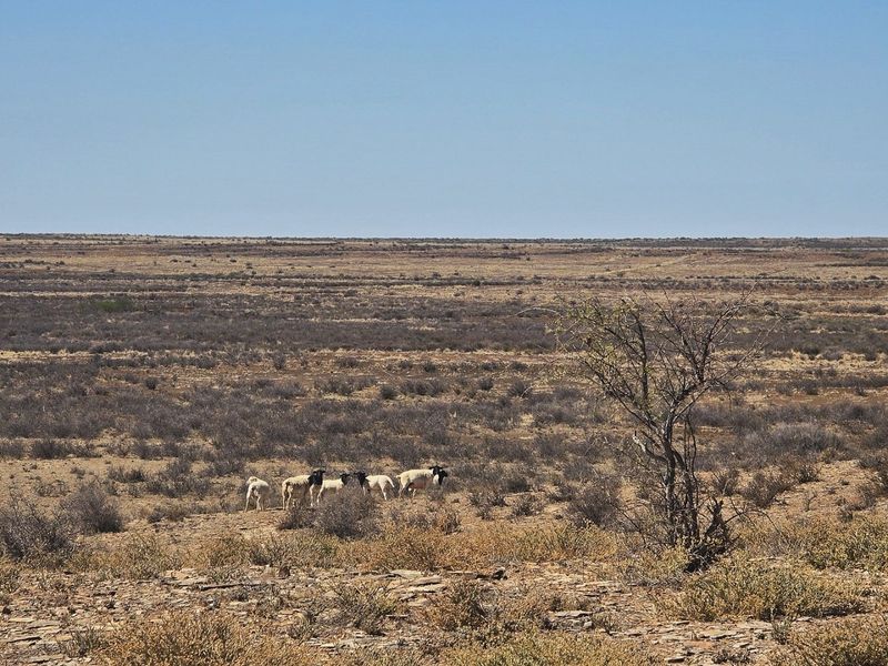 Farm for sale near Brandvlei, Northern Cape. - Photo 7