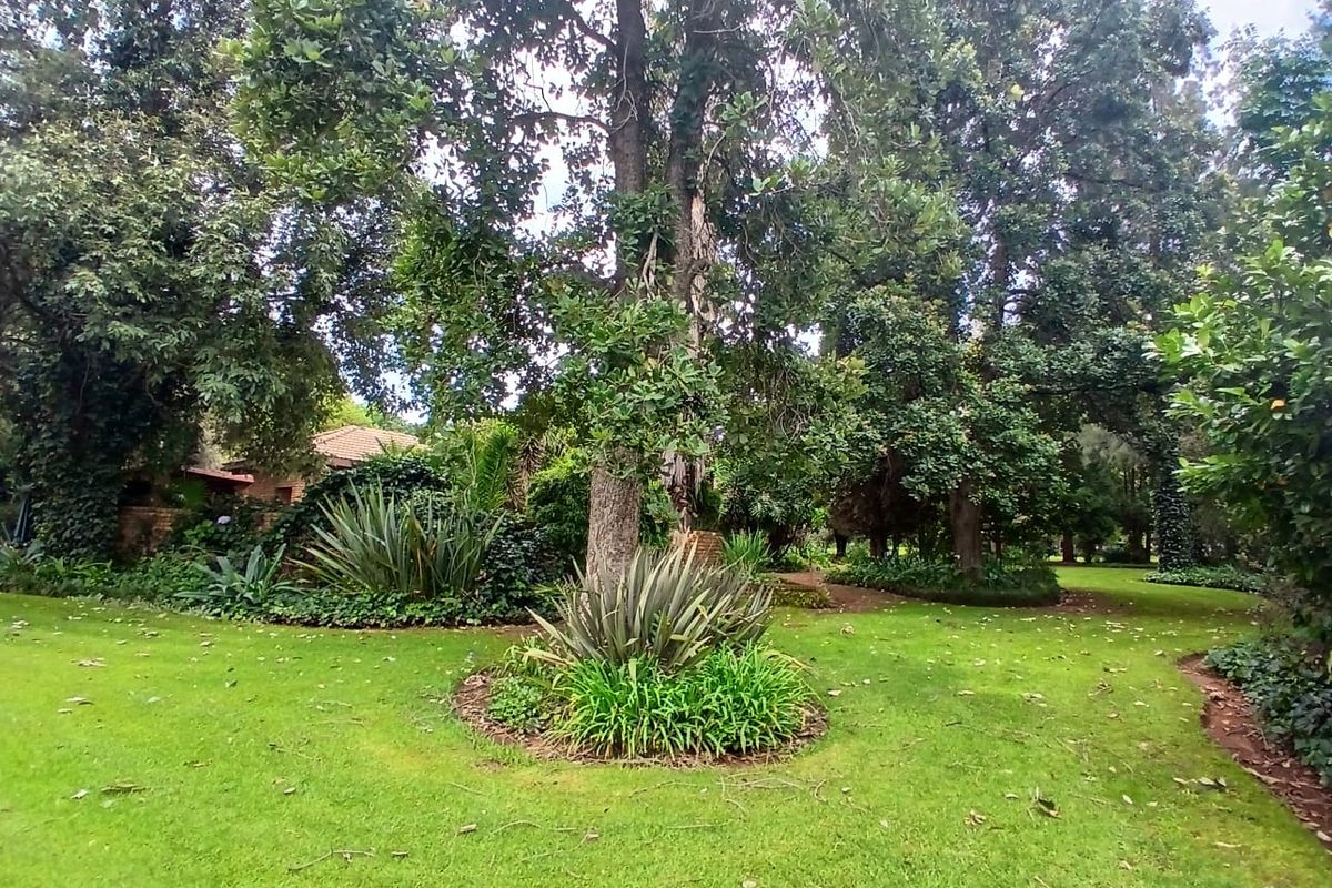 5 Bedroom House for Rent in Gerhardsville - Photo 5