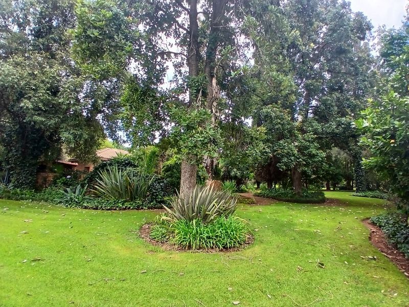 5 Bedroom House for Rent in Gerhardsville - Photo 5