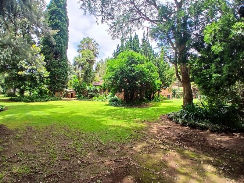 5 Bedroom House for Rent in Gerhardsville - Photo 7