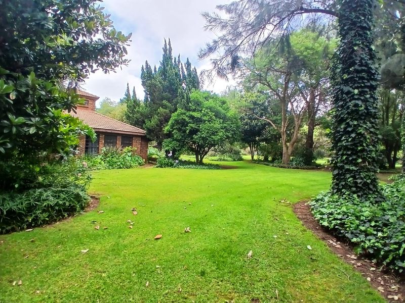 5 Bedroom House for Rent in Gerhardsville - Photo 6