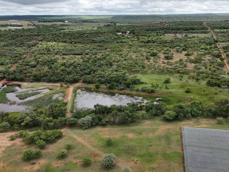 Well-developed infrastructure, strong water supply and a beautiful farmhouse – Farm, livestock, game, implements and equipment included. - Photo 2