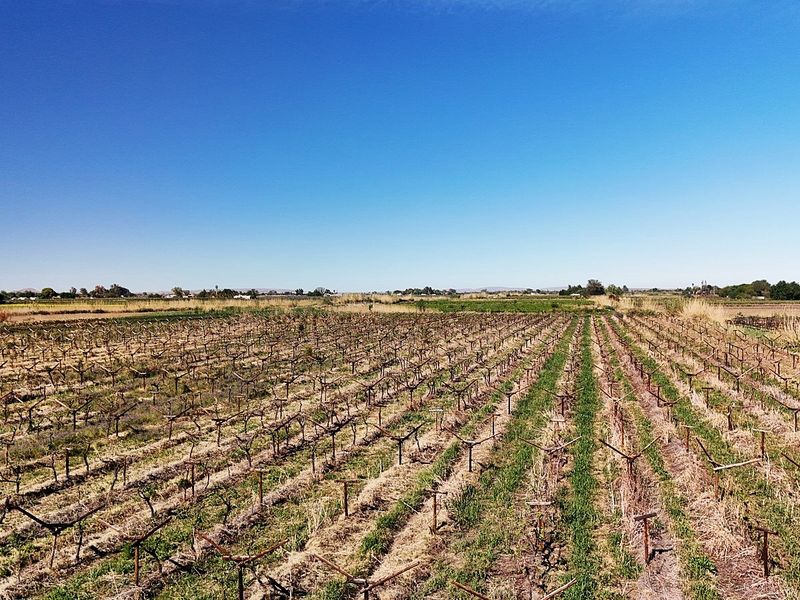 Irrigation property for sale at Kanoneiland, Upington - Photo 10