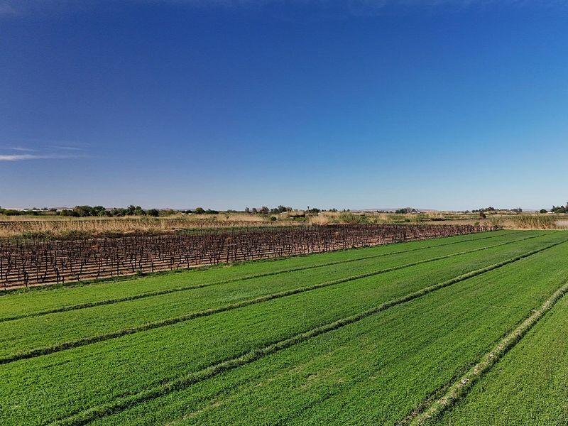 Irrigation property for sale at Kanoneiland, Upington - Photo 7
