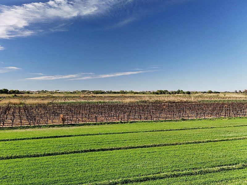 Irrigation property for sale at Kanoneiland, Upington - Photo 8