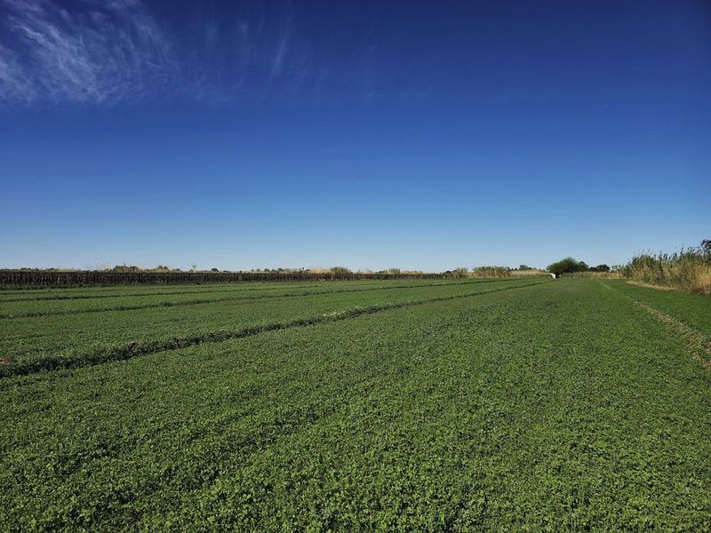 Irrigation property for sale at Kanoneiland, Upington - Photo 6