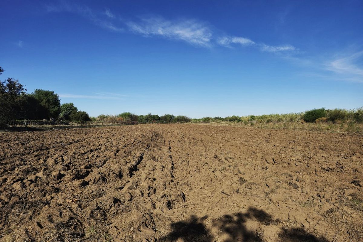 Irrigation farm at Kanoneiland, Upington/Keimoes - Photo 5
